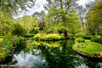 Longstock Water Gardens May 2024