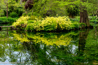 S1000605-Edit
